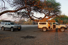 Campsite Khumaga